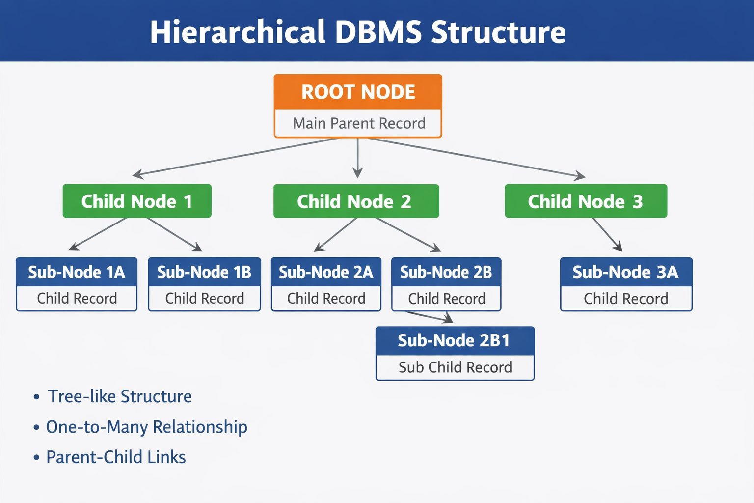 Hierarchical DBMS की संरचना (Structure)